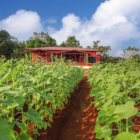 Aarya Farm Bed & Breakfast Bhom Екстериор снимка