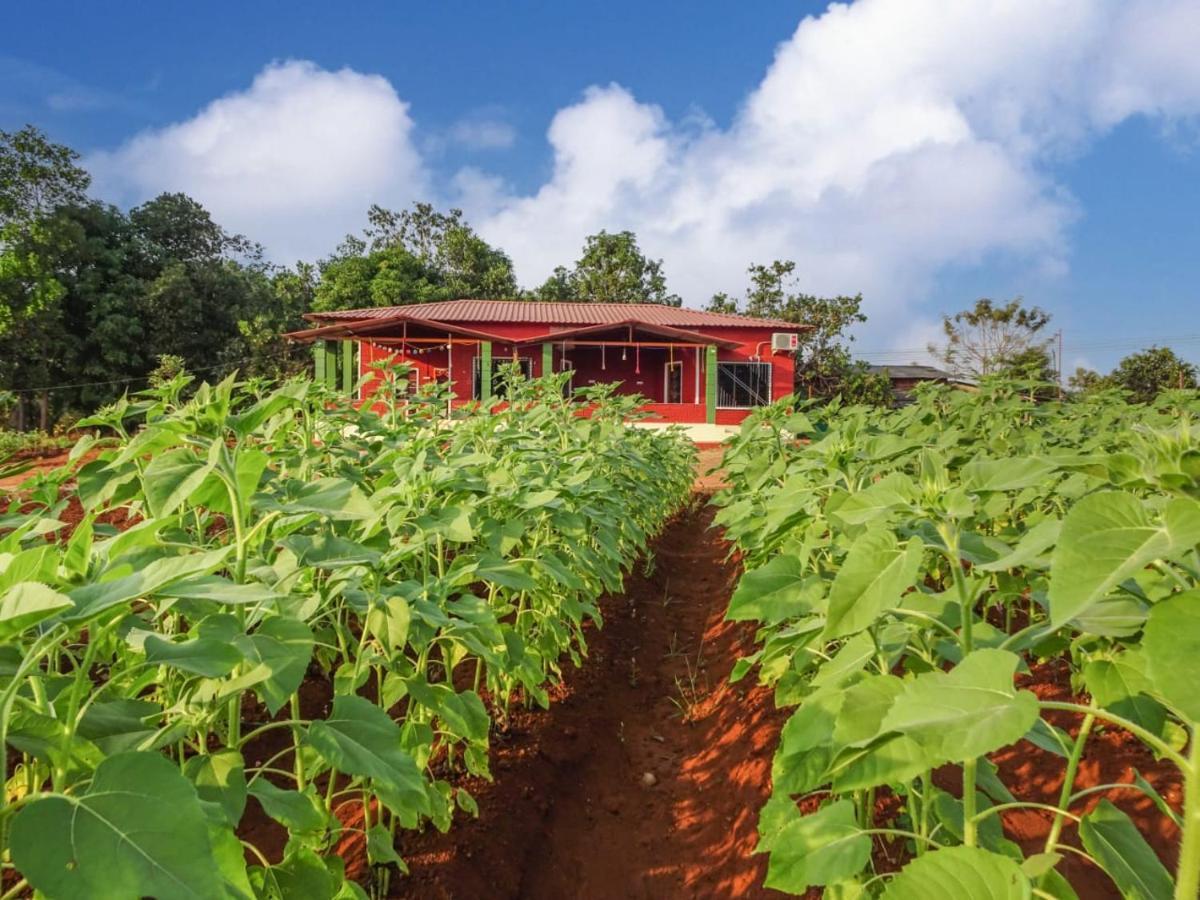 Aarya Farm Bed & Breakfast Bhom Екстериор снимка
